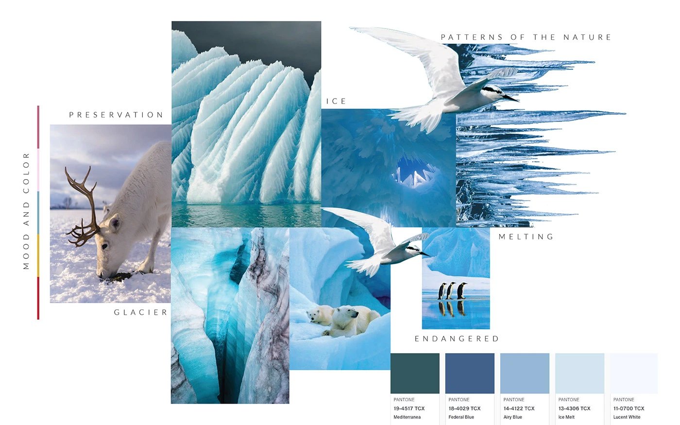 Dhartee — 3
